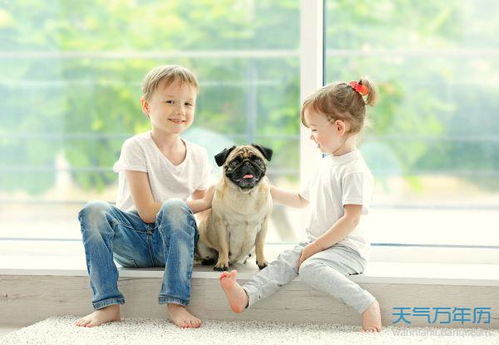 属狗人今年适合结婚吗？今年结婚比明年更好吗？