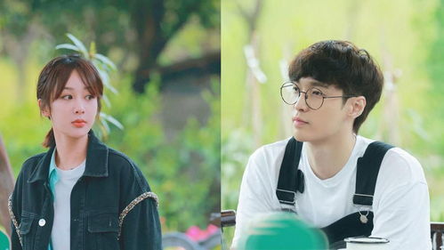 张艺兴的感情状况和婚姻运势如何分析预测？