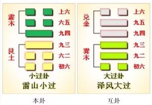 冲太岁现象的理论基础与现实影响