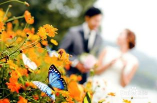 单身旺桃花手机号，女人桃花旺的秘密是什么？