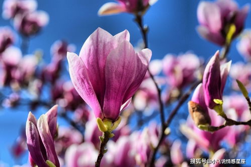 三、 梦境回溯：记忆碎片与潜意识投射