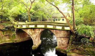 鹅岭公园：免”费江景的隐藏宝藏