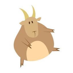 属猪的摩羯男与属猪的魔蝎男朋友性格配对如何？