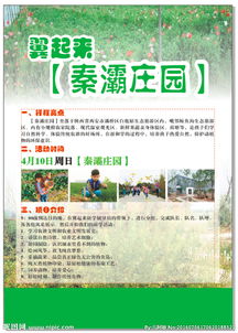 十二生肖运势警告