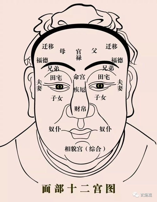 如何通过眼睛面相准确判断婚姻宫的位置？