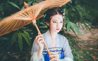 将军生肖、君王美女伴打一生肖，这个数字组合具体代表什么含义？