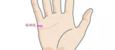 手相看双胞胎能预示生龙凤胎吗？