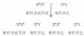 一、 较小六壬概念与基础结构