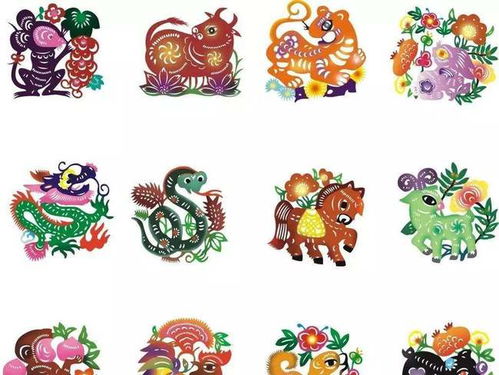 97年属牛女性在婚姻中与哪个生肖最不匹配？