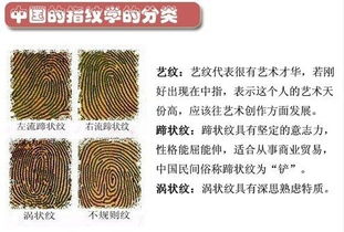震惊！你的指纹藏着惊天大秘密！99%的人不知道...