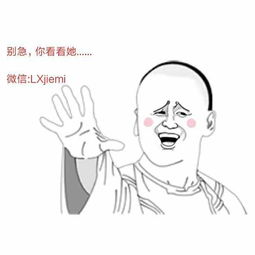 二、  属猪与双鱼座的女性特质在情感修复中的运用