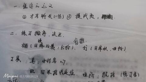 二、 学科融合：拓展知识边界与综合素质培养