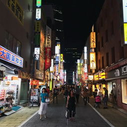 秋叶原：二次元迷宫还是消费陷阱？