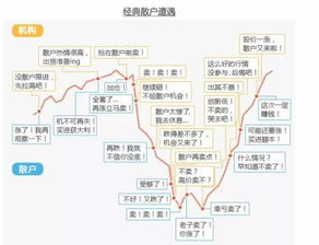 三、 格局组合及其因果逻辑阐释