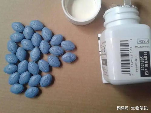 1. 生肖体质差异与药物耐受性