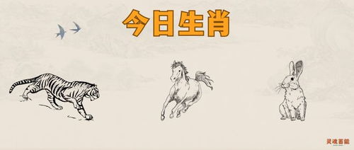 十月三日是不是好日子，哪个生肖在这一天特别幸运呢？