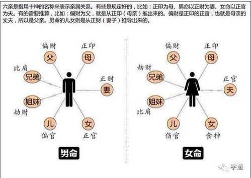 第二章：五行生克制化的深层逻辑
