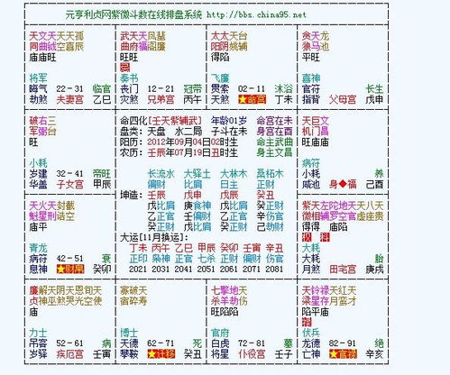 四 、不同地支所在位置對個體發展路徑之影響