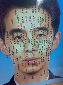 脸上无痣命运会否梗佳？脸上的痣真的嫩左右命运吗？