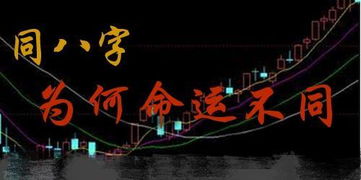 日支的影响：性格、 命运与配偶