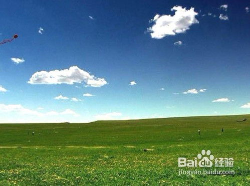 门票价格：心如刀绞的现实