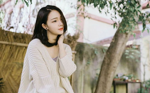 三、思想深度与精神境界：独立思考与人格魅力的构建