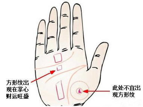 手相巽宫分析吉凶图解大全中，哪些手相特征预示吉凶？