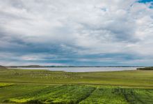 五花草甸：五花八门的是蚊子