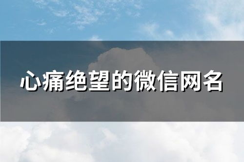 3.1 其他生肖对应策略概述
