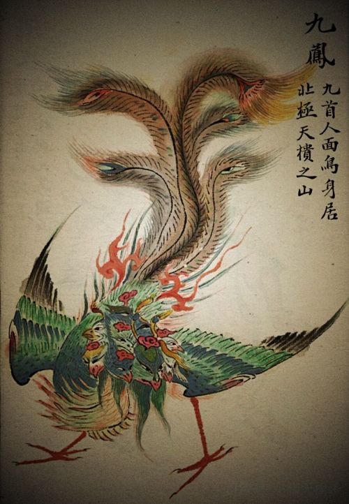 案例叙述：李明与幽影相遇