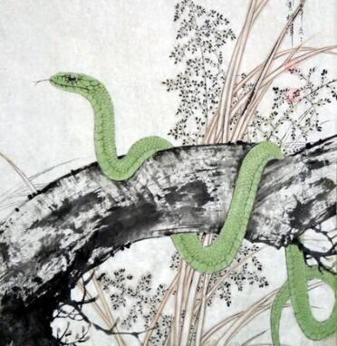 1977年属蛇2026年运势完整版，2026年属蛇人事业运势详解具体内容是什么？