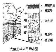 环境要素：规避不利因素的重要性
