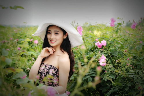 属虎男性群体与娇较小女性群体的匹配逻辑