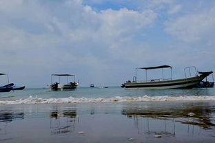 Day3：洞庭湖 “深度”玩法 ， 不是看湖是 “读湖 ”