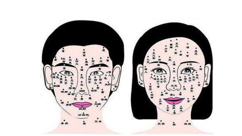 五、 部位与运势之间的对应关系