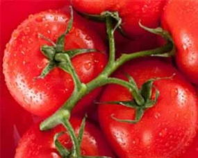 梦见吃红彤彤的西红柿预示着什么吉凶？