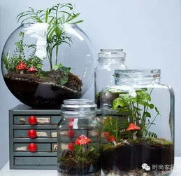 三、  化解不良影响：应对策略及注意事项