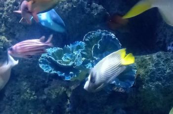 杭州海底世界：亲子游玩的绝佳去处