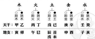官星理论与配偶选择机制