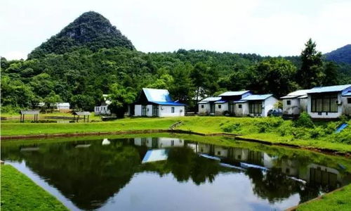 1. 发展特色农业：挖掘土地的内在价值