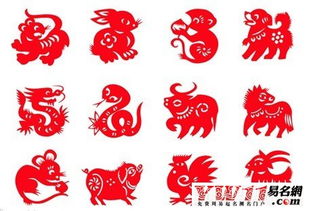 年度“属相”较大作战：具体年份对照表（乱码版）