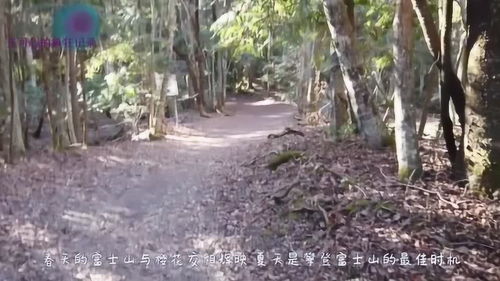 二、  无形束缚与绝望：现实与精神层面之间的挣扎
