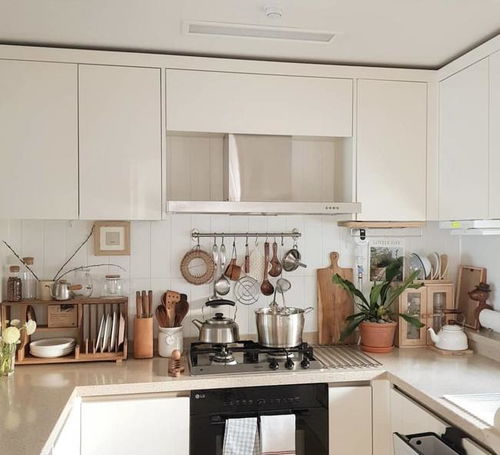 2.2 炉灶布局细节