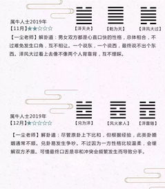 生肖与冲煞分析——以虎年为例的专属考量