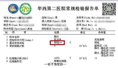 樟树命在抽签解签中究竟代表着什么含义？
