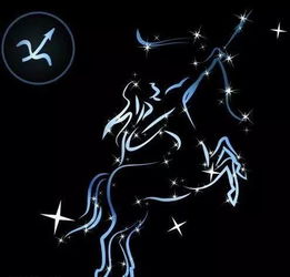 十二星座分别象征什么类型的翅膀？