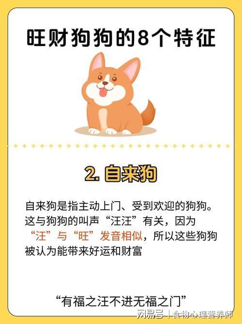 2026年属狗人的运势走势具体破解方法是什么？