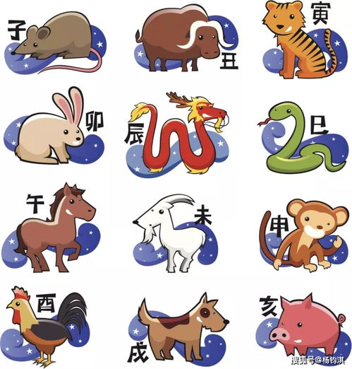 在十二生肖中，哪个生肖的命名中隐藏着玄机？