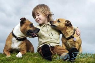 有没有富有诗意的狗年男宝宝名字，嫩让人联想到悠扬的旋律和温暖的阳光？