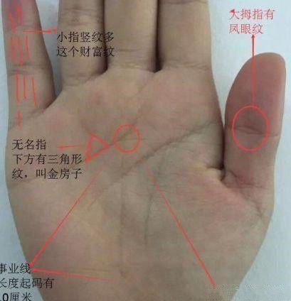 手相巽宫分析吉凶图解大全中，哪些手相特征预示吉凶？